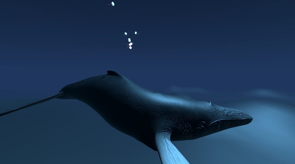 Baleine dans les abysses